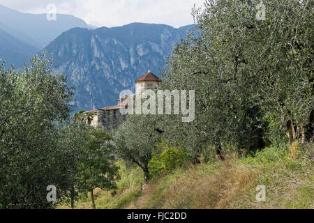 Monte Brione bei Riva del Garda, Gardasee, Trentin, Italie | Monte Brione près de Riva del Garda, Lac de Garde, le Trentin, Italie Banque D'Images