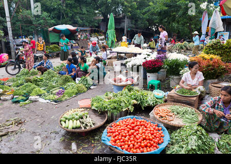 Marché de Mandalay Légumes Fleurs Femmes Vendeurs Myanmar | MANDALAY, Myanmar — Des vendeuses assises par terre vendent des légumes variés à côté de seaux de chrysanthèmes blancs, rouges et jaunes dans une rue de marché en plein air bordant le quartier Zegyo (Zay Cho). La vente côte à côte de cultures alimentaires et de fleurs dévotionnelles est caractéristique des rues de marché de Mandalay, où la rangée de fleurs (pan-tan, ပန်းတန်း) approvisionne les offrandes des pagodes bouddhistes depuis la fondation de la ville en tant que dernière capitale royale du Myanmar en 1857. Banque D'Images