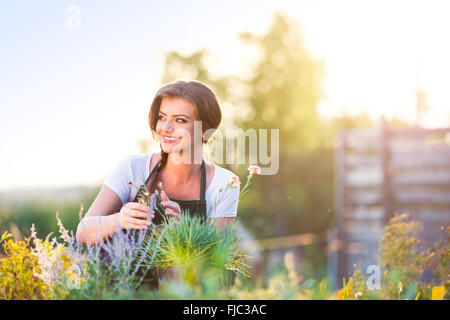 Jeune jardinier dans jardin avec plantes diverses, nature ensoleillée Banque D'Images