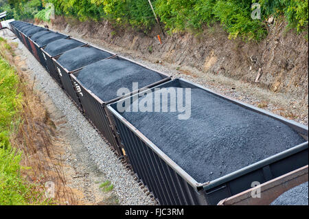 Wagons de charbon sur un long train de fret Banque D'Images