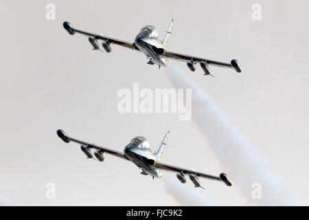 Frecce Tricolori, armée de l'air italienne Aermacchi MB Display Team,-339PAN. Banque D'Images