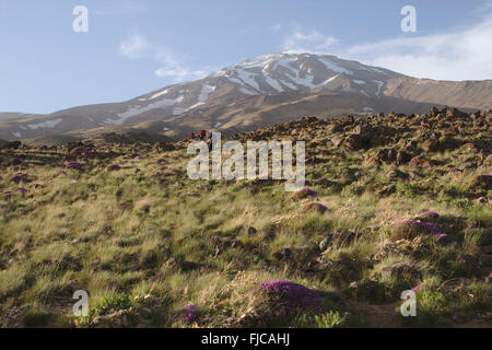 Le mont Damavand, volcan dans la chaîne de montagnes Alborz, Iran Banque D'Images