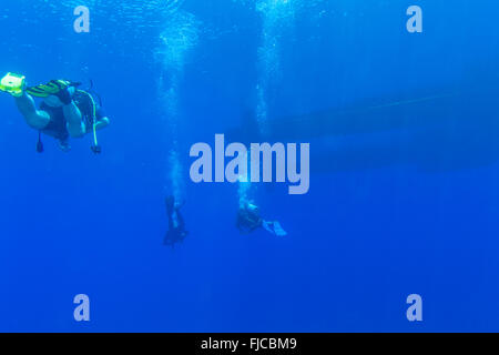 Groupe de plongeurs près de voile nager sous l'eau Banque D'Images
