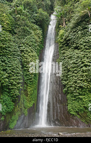 Cascade de Sahada, Bali, Indonésie Banque D'Images