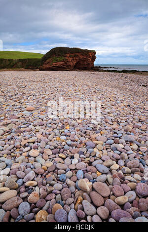 La côte de galets d'Budliegh Cottage, South Devon Banque D'Images