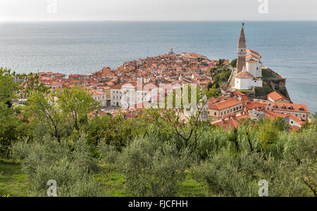 Pittoresque Vieille ville de Piran sur la péninsule dans la mer Adriatique, la Slovénie. Vue aérienne. Banque D'Images