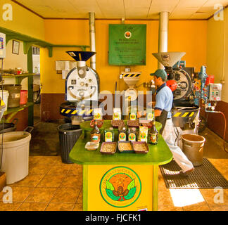 Le café, le café De Costa-Doka Estate, Alajuela, Costa Rica Banque D'Images