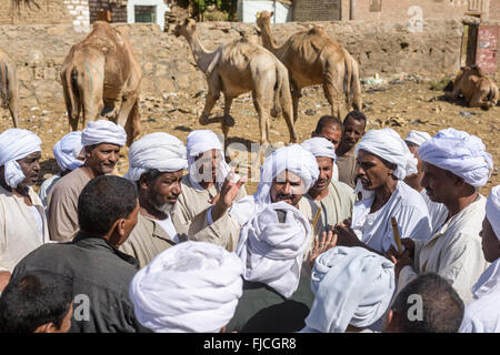 Groupe d'éleveurs de chameaux et de négociation des acheteurs difficiles à s'entendre sur le prix final de chameaux au cours d'un marché aux chameaux. Banque D'Images