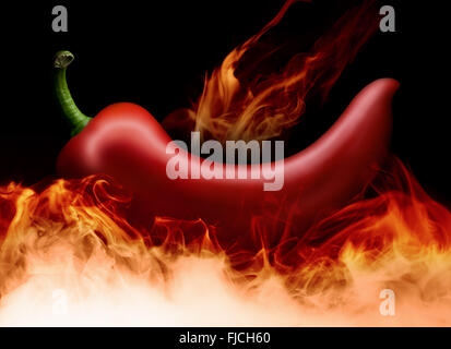 Red hot chili pepper en flammes sur fond noir. Banque D'Images