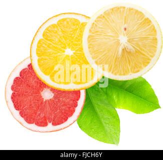 Le pamplemousse, l'orange et les tranches de citron isolé sur le fond blanc. Banque D'Images