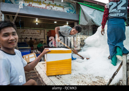 Marché aux poissons Mandalay Myanmar // MANDALAY, Myanmar — des travailleurs pelletent la glace pour la livraison aux vendeurs de poisson au marché aux poissons et aux fleurs près de Pulaing Street à Mandalay. Le marché sert de plaque tournante pour les fruits de mer frais et le commerce floral dans la deuxième plus grande ville du Myanmar. La livraison de glace est essentielle pour préserver le poisson dans le climat tropical, garantissant ainsi aux fournisseurs de maintenir la qualité des produits tout au long de la journée. Mandalay, situé dans le centre du Myanmar le long de la rivière Ayeyarwady (également connu sous le nom d'Irrawaddy), est le centre culturel et économique du pays pour les régions du nord. La ville dessert un Banque D'Images