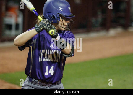 Columbia, SC, États-Unis d'Amérique. 1er mars 2016. Madison Armstrong (14) de la Western Carolina Catamounts au bâton dans le match de base-ball NCAA entre l'Ouest et le Catamounts Carolina Gamecocks Caroline du Sud à Beckham Domaine de Columbia, SC. Scott Kinser/CSM/Alamy Live News Banque D'Images