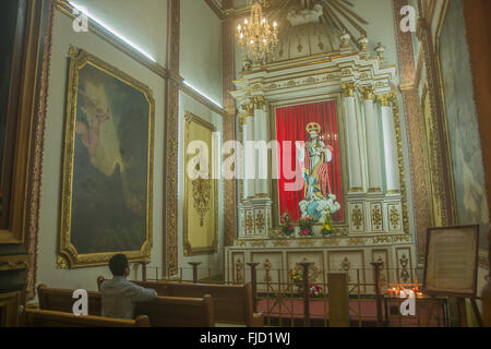 La Cathédrale de Notre Dame de l'Assomption (Espagnol : Catedral Metropolitana de Nuestra Señora de la Asunción) Banque D'Images