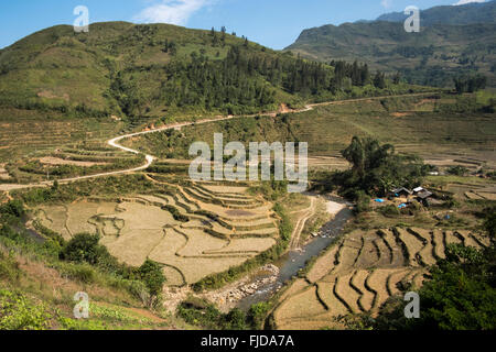 Rizières en terrasses dans la région de Ban Den, District de Sapa, Vietnam Banque D'Images