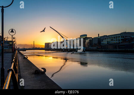 Samuel Beckett Bridge sur la rivière Liffey, quartier des docks à l'aube, Dublin, Irlande Banque D'Images