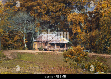 Colombages décoratifs log hut sous un toit de chaume dans la forêt d'automne Banque D'Images