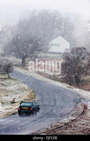 La chapelle, Powys, Wales, UK. 2 mars 2016. Météo France : un automobiliste négocie la petite route pendant un blizzard entre la chapelle et Garth, ce matin sur le haut de la lande de Mynydd Epynt gamme. Une tempête de neige, de grêle, de grésil et de vents jusqu'à environ 50 mph a frappé la haute terre dans Powys, Pays de Galles, ce matin. Credit : Graham M. Lawrence/Alamy Live News. Banque D'Images