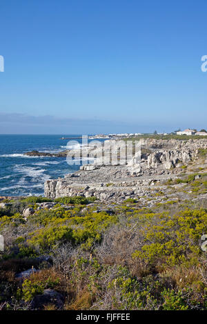 Ville côtière d'Hermanus le long de Walker Bay avec le nouveau port à l'horizon, Province de Western Cape, Afrique du Sud. Banque D'Images