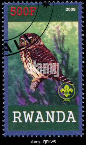 BUDAPEST, HONGRIE - 01 mars 2016 : un timbre imprimé par le Rwanda, spectacles Owl, vers 2009 Banque D'Images