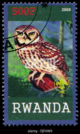 BUDAPEST, HONGRIE - 01 mars 2016 : un timbre imprimé par le Rwanda, spectacles Owl, vers 2009 Banque D'Images