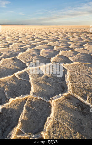 Coucher du soleil sur la saline, Salar de Uyuni Banque D'Images