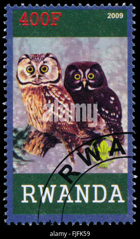 BUDAPEST, HONGRIE - 01 mars 2016 : un timbre imprimé par le Rwanda, spectacles Owl, vers 2009 Banque D'Images