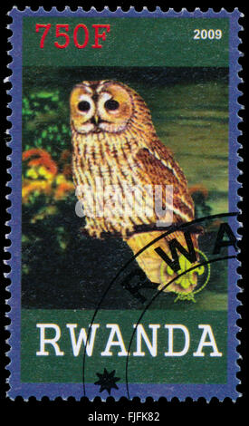 BUDAPEST, HONGRIE - 01 mars 2016 : un timbre imprimé par le Rwanda, spectacles Owl, vers 2009 Banque D'Images