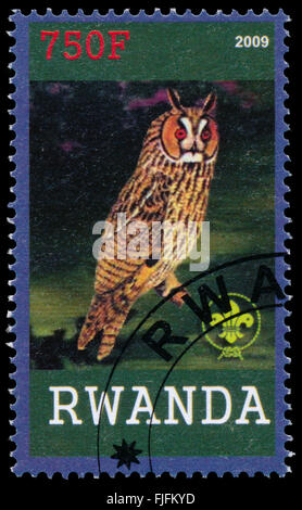 BUDAPEST, HONGRIE - 01 mars 2016 : un timbre imprimé par le Rwanda, spectacles Owl, vers 2009 Banque D'Images