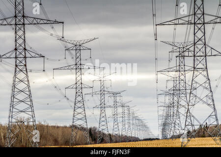 Une rangée de tours de transmission haute tension dans un champ Banque D'Images