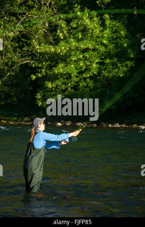 Flyfishing le nord de la rivière Santiam, Fisherman's Bend Recreation Area, Salem District Bureau de la gestion des terres, de l'Oregon Banque D'Images