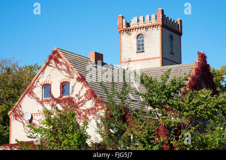 Observatoire d'oiseaux, Prerow, Darss, Fischland-darss-Zingst, Mecklembourg-Poméranie-Occidentale, Allemagne Banque D'Images