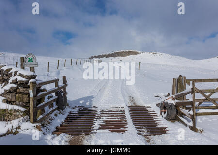 Malham, North Yorkshire, UK. 2 mars 2016. Le poids de la neige a recouvert une grande partie du Parc National des Yorkshire Dales. L'emblématique Malham Cove et les terres, sentiers et moor routes de campagne ont été couverts dans environ 4 cm de neige. Crédit : Tom Holmes / Alamy Live News Banque D'Images