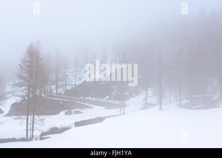 Le brouillard et les nuages couvrant la montagne enneigée path Banque D'Images