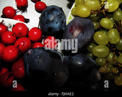 Plum, l'aubépine et du raisin. Sur les plaques sur la table Banque D'Images