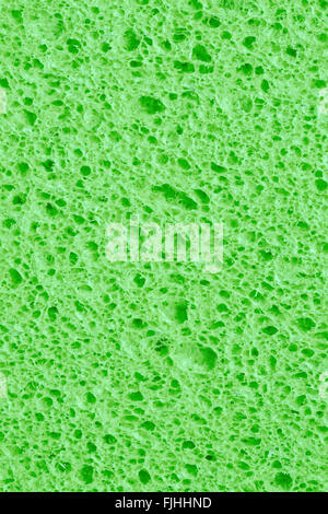 Arrière-plan avec extremal close-up de l'éponge verte Banque D'Images