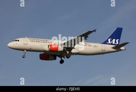 Airbus A320 SAS Scandinavian Airline System à l'atterrissage à l'aéroport de Londres Heathrow LHR Banque D'Images