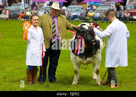 Jeune fille avec son bull au salon de l'agriculture. Rosette Holding pour le bétail prix Champion. Skelton Show, Penrith, Cumbria, Royaume-Uni. Banque D'Images