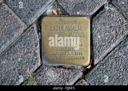 L'une des nombreuses pierres d'achoppement Stolpersteine ou bronze Memorial de la chaussée des marqueurs dans Eindhoven, Pays-Bas. Banque D'Images