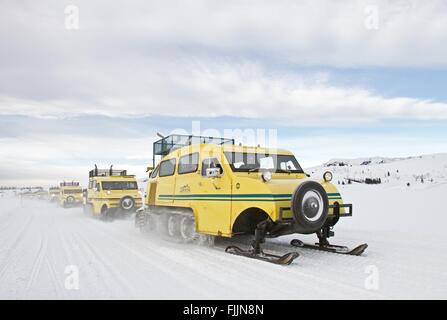 Snowcoaches Bombardier Xanterra effectuer le dernier groupe de touristes à travers le lac des appartements à Yellowstone National Park 1 mars 2016 à Yellowstone, Wyoming. Le transporteur qui a commencé la neige suivi utiliser dans les années 30 portant les touristes à travers la neige profonde sont pris sa retraite comme hivers sont moins graves et moins de chutes de neige dans le parc. Banque D'Images