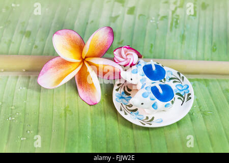 Bougie parfum fleur de frangipanier plumeria ou sur des feuilles de banane verte Banque D'Images