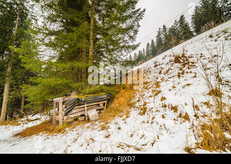 Un tas de bois dans une forêt de conifères sur la pente d'une montagne couverte de neige en Italie Banque D'Images