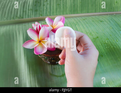 Prendre la main avec du savon mini fleurs de frangipaniers sur fond de feuilles de banane verte with copy space Banque D'Images