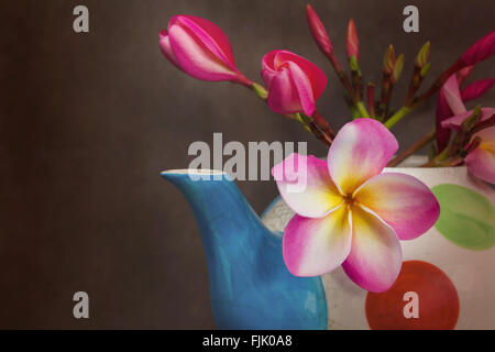 Belle fleur plumeria ou frangipanier dans fantaisie terre cuite théière sur fond sombre vie encore Banque D'Images