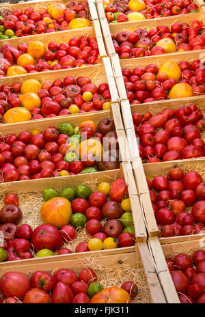 Produits frais, produits bio, rouge, vert et jaune heirloom tomatoes affiché dans des caisses à un marché de l'alimentation locale, Paris, France Banque D'Images