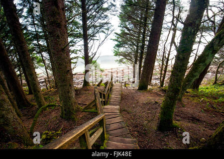 Escalier en bois à Florencia Bay (Wreck Beach) - le parc national Pacific Rim - près de Tofino, Vancouver Island, British Columbia, C Banque D'Images