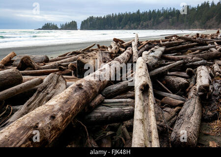 Driftwood à Florencia Bay (Wreck Beach) - le parc national Pacific Rim - près de Tofino, Vancouver Island, British Columbia, Canada Banque D'Images