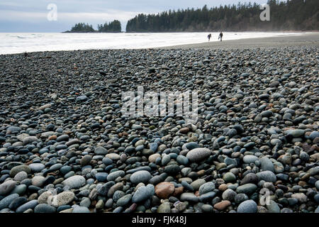 La Baie Florencia (Wreck Beach) - le parc national Pacific Rim - près de Tofino, Vancouver Island, British Columbia, Canada Banque D'Images