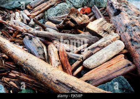 Driftwood sur Dallas Beach - Victoria, île de Vancouver, Colombie-Britannique, Canada Banque D'Images