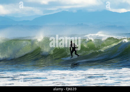 Surfer à Sombrio Beach - parc provincial Juan de Fuca, l'île de Vancouver, Colombie-Britannique, Canada Banque D'Images