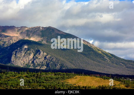 Rock Mountain à l'aube avec des arbres de pergélisol Banque D'Images